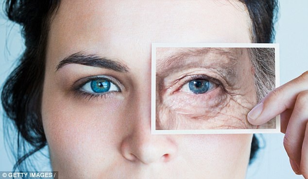 Đột phá: Phát hiện hợp chất “cải lão hoàn đồng” - 1 Một hợp chất có thể tạo hiệu ứng đáng kể trong việc phục hồi tình trạng rụng tóc, chức năng thận và sinh lực cơ thể vừa được khám phá.