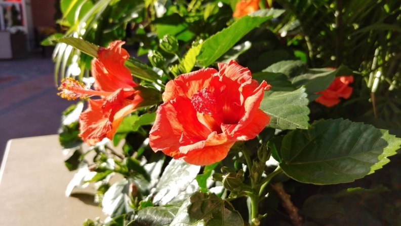 Điểm danh những smartphone có camera tốt nhất năm 2017 - 7