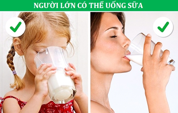 Những minh chứng cho thấy con người vẫn đang tiến hóa từng ngày - 1 Những minh chứng cho thấy con người vẫn đang tiến hóa từng ngày - 1