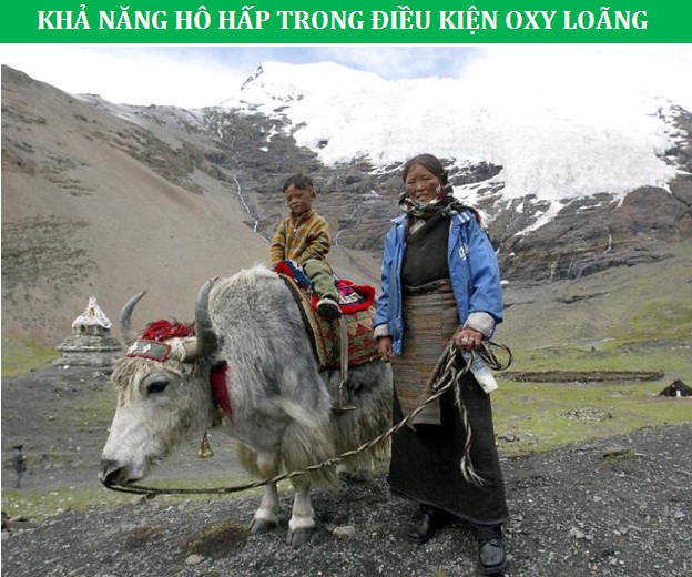 Những minh chứng cho thấy con người vẫn đang tiến hóa từng ngày - 4 Những minh chứng cho thấy con người vẫn đang tiến hóa từng ngày - 4