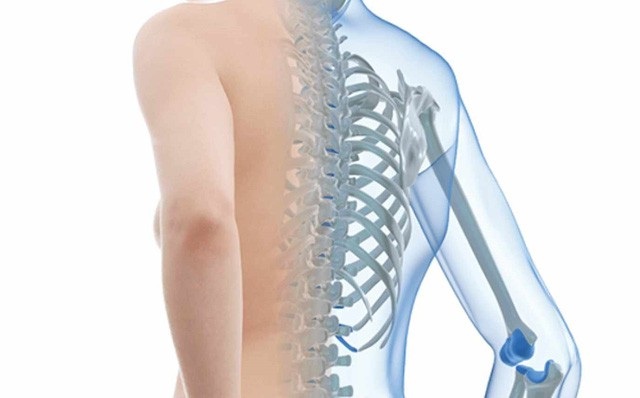 Ô nhiễm không khí có thể gây loãng xương - 1 Ô nhiễm không khí có thể gây loãng xương - 1