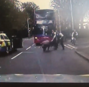 Cảnh sát rượt đuổi lợn ở London - 1 Cảnh sát rượt đuổi lợn ở London - 1