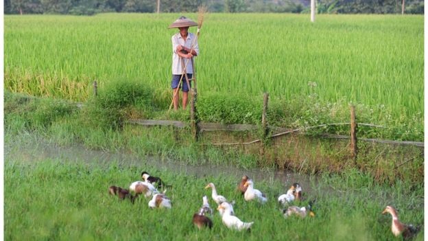 Vấn nạn lừa đảo đa cấp nhức nhối tại Trung Quốc - 2 Những nhóm đối tượng mà những kẻ lừa đảo thường hướng tới ở khu vực nông thôn và có dân trí thấp cũng như ít hiểu biết về tài chính. (Ảnh: Getty)