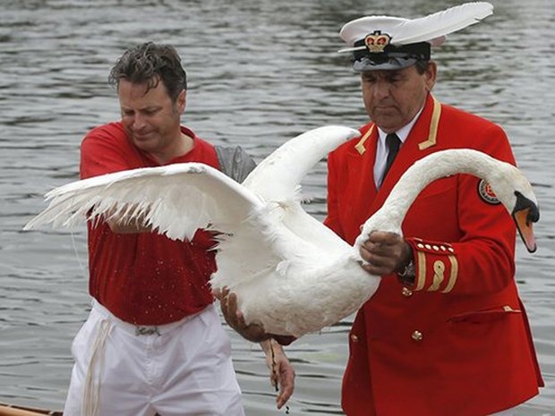 Những kiểu luật lệ khó hiểu nhất trên thế giới - 4 Những kiểu luật lệ khó hiểu nhất trên thế giới - 4