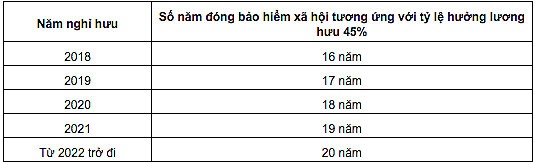 Mức lương hưu khi tham gia bảo hiểm xã hội tự nguyện - 1