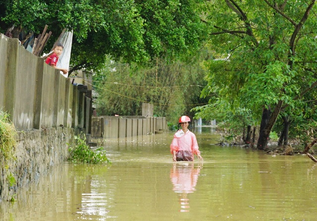 Nước sông Lam lên nhanh, người dân bình thản đón lũ - 3 Nước dâng cao theo từng giờ, xóm 2, xã Hưng Nhân đã bị chia cắt, cô lập hoàn toàn với bên ngoài
