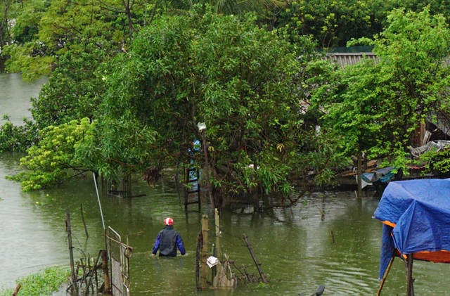 Nước sông Lam lên nhanh, người dân bình thản đón lũ - 2 Nhiều chuồng trại chăn nuôi của người dân xã Hưng Lợi (Hưng Nguyên, Nghệ An) bị ngập sâu