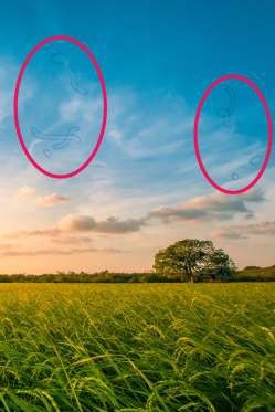 12 dấu hiệu bệnh mà bạn phải “hỏi” mắt - 6