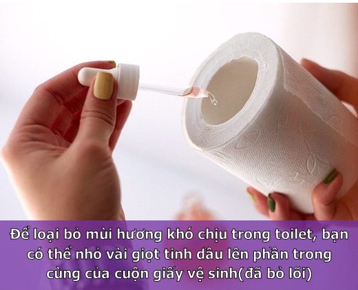 Những mẹo vặt hàng ngày “cực hay” không nên bỏ qua - 3 Khử mùi nhà vệ sinh