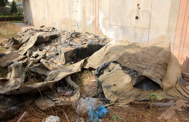 Đây là những bức tượng Phật cổ làm bằng đá phiến đen