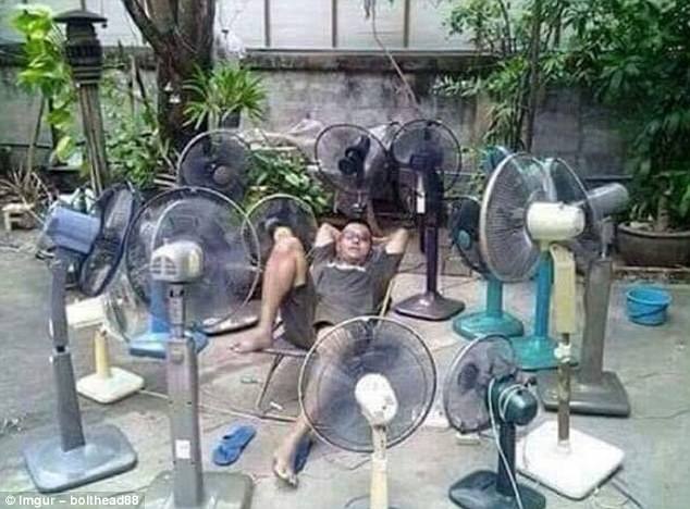 Muôn kiểu "giải nhiệt mùa hè" không thể nhịn cười - 5 Một mình với 13 cái quạt liệu có đủ thổi bay cơn nóng mùa hè?