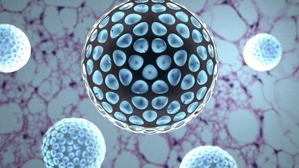 Hạt nano thông thường có thể giúp đốt cháy mỡ "bụng bia" - 1 Hạt nano thông thường có thể giúp đốt cháy mỡ "bụng bia" - 1