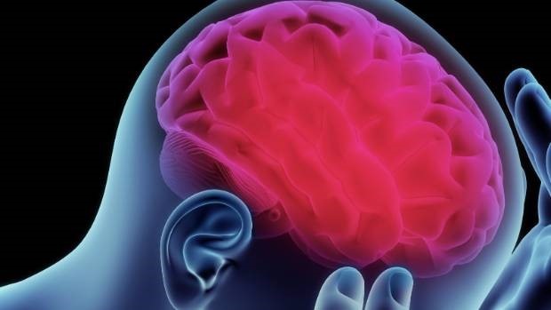 Não nhân tạo từ công nghệ in 3D mở ra hy vọng cho bệnh nhân Alzheimer - 2
Não nhân tạo từ công nghệ in 3D mở ra hy vọng cho bệnh nhân Alzheimer.