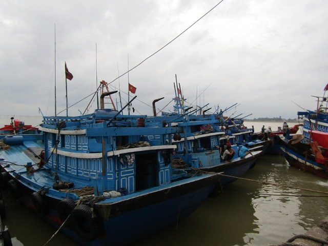 Xảy ra thiệt hại về người trong bão, người đứng đầu địa phương phải chịu trách nhiệm - 1 Tàu thuyền được neo đậu, chằng chống trước cơn bão số 2