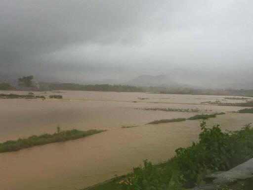 Mực nước hồ thủy điện Hòa Bình vượt cao trình 100m, 18h tối nay xả lũ - 4 Nước xóa trắng hoa màu.