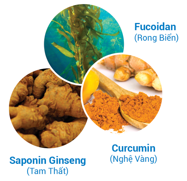 Những các "xử trí" ung thư hiệu quả - 2 Những các "xử trí" ung thư hiệu quả - 2