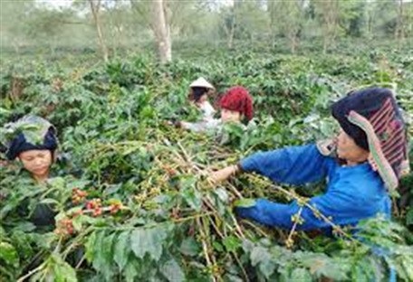 8 tháng đầu năm 2017: Hơn 700.000 lao động nông thôn được học nghề - 3 8 tháng đầu năm 2017: Hơn 700.000 lao động nông thôn được học nghề - 3