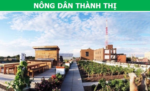Những nghề nghiệp “không tưởng” có thể xuất hiện trong tương lai - 1 Những nghề nghiệp “không tưởng” có thể xuất hiện trong tương lai - 1