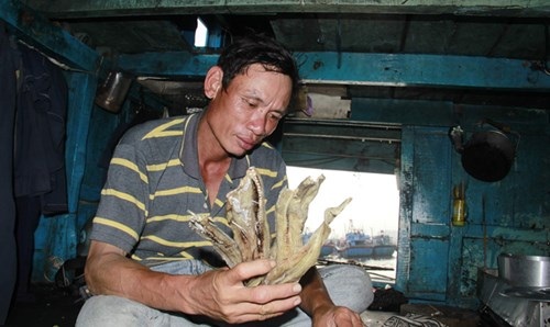 Tất niên trên tàu cá - 2
Anh Phạm Văn Sơn (huyện Đức Phổ, tỉnh Quảng Ngãi) gói ghém cá khô đem về làm quà Tết cho gia đình. Ảnh: Thanh Trần