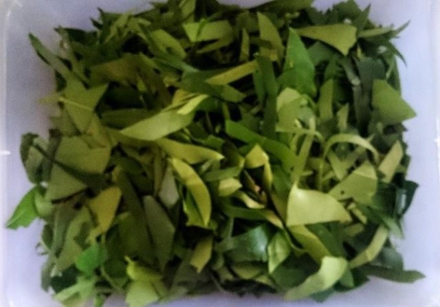 Học sinh lớp 11 sáng chế thành công sản phẩm đuổi muỗi - 3 Lá ngũ gia bì được cắt thành đoạn nhỏ, bỏ cuống