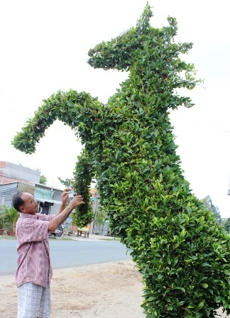 Những linh vật ngày Tết được làm bằng cây kiểng “siêu độc” - 6 Những linh vật ngày Tết được làm bằng cây kiểng “siêu độc” - 6
