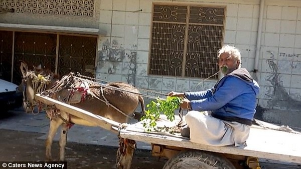 Vì nghèo, ăn mãi lá và cành cây thành... nghiện - 2 Trong khi di chuyển trên đường, ông Butt cũng thường xuyên dừng xe để hái lá và cành cây để ăn