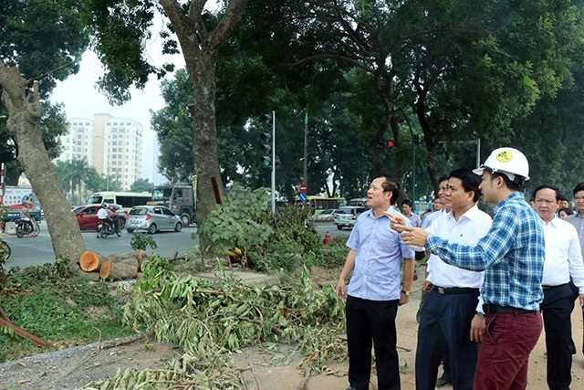 “Biệt phủ” của cô gái 22 tuổi và những vết nứt trong hầm Hải Vân - 12 Sáng 28/10, Chủ tịch UBND TP Hà Nội Nguyễn Đức Chung đã đột xuất kiểm tra việc thi công mở rộng đường vành đai 3 (đoạn Mai Dịch – Cầu Thăng Long) và công tác cắt tỉa, đánh chuyển khoảng 1.200 cây xanh trên đường Phạm Văn Đồng. (Ảnh: Quang Phong)