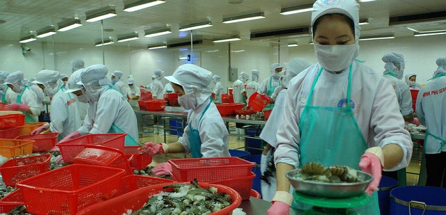 Úc nới lỏng lệnh cấm nhập khẩu tôm - 1 (Ảnh minh hoạ).