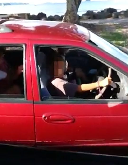 Nhóc 8 tuổi lái xế hộp chở dê đi trên phố - 3