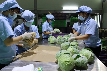 Nghiên cứu nhà nước 10 năm không lai tạo nổi một loại giống mới - 2
TPHCM sẽ tiên phong trong lĩnh vực nghiên cứu giống cho cả nước