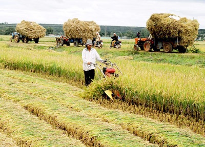 Vì sao doanh nghiệp "thờ ơ" với nông nghiệp, nông thôn? - 1
Có nhiều lý do khiến các doanh nghiệp chưa mặn mà đầu tư vào nông nghiệp nông thôn