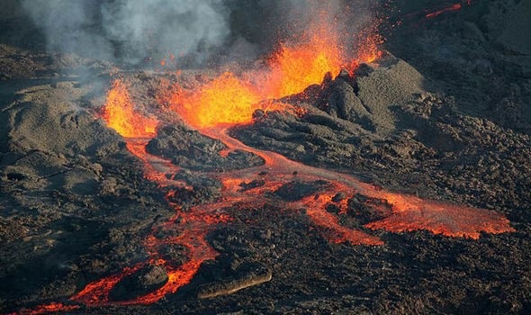 Núi lửa ở Siberia đã gây ra sự tuyệt chủng trên diện rộng lớn nhất của Trái Đất - 1