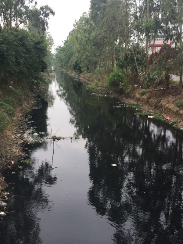 Mặt nước chuyển màu đen ngòm, bốc mùi hôi nồng nặc