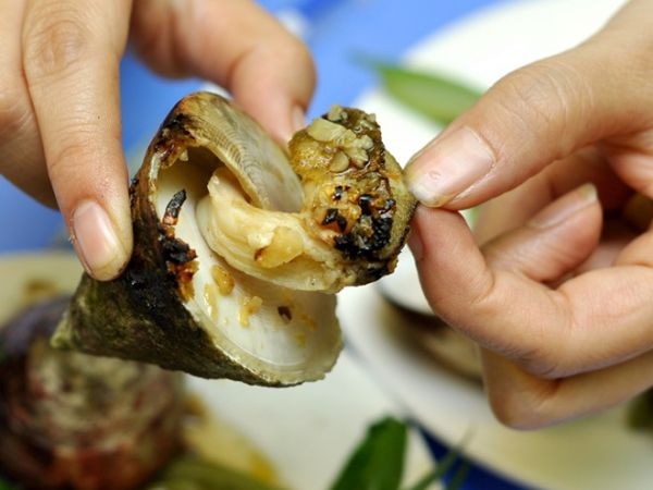 Mê mẩn với ốc vú nàng – đặc sản gợi cảm của vùng biển Việt Nam - 2 Ngư dân Côn Đảo có câu ngâm rằng: Ai qua đất Thắm, Bãi Bàng/ Hỏi thăm Ông Đụng, vú nàng lớn chưa?