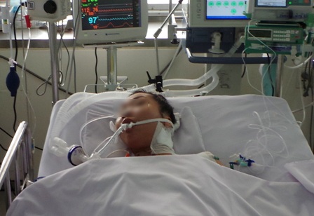 Cô giáo trẻ nguy kịch vì ong "lạc" vào mũ bảo hiểm - 1 Sốc phản vệ khiến cô giáo trẻ lâm vào nguy nan sau vết đốt của ong