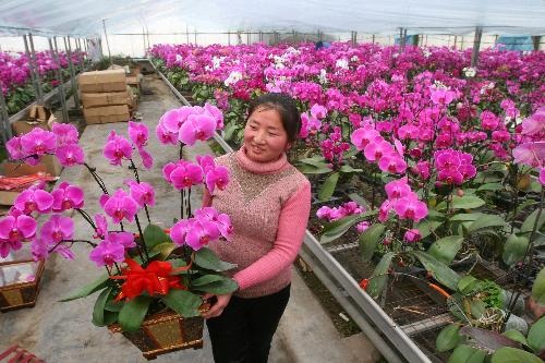 
Ảnh minh họa. (Nguồn: Sina)
