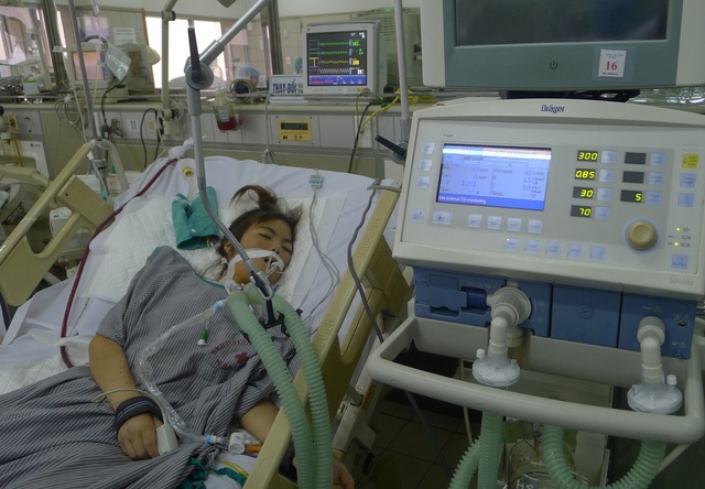 Hơn 94 triệu đồng đến với gia đình em Bích Hà - 1 Bị lupus ban đỏ, em Bích Hà đã mãi mãi ra đi ở tuổi 20.