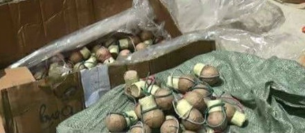 Bắt giữ hơn 2 tấn pháo nổ chuyển từ tỉnh biên giới về tiêu thụ - 1
Những quả pháo nổ bị thu giữ