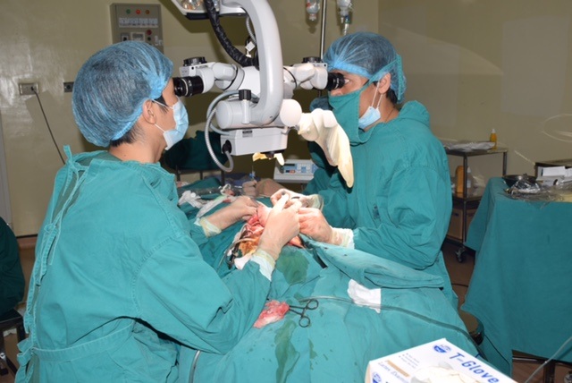 Lần đầu tiên tại BV K phẫu thuật cho bệnh nhân ung thư được kết hợp với chuyên ngành Phẫu thuật tạo hình để tạo hình lại bộ phận bị cắt bỏ vì ung thư cho bệnh nhân.