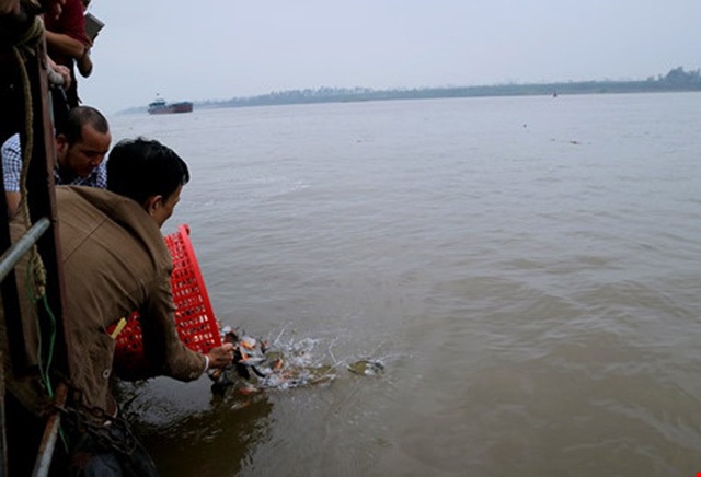 Hình ảnh người dân thả cá chim trắng xuống sông Hồng ngày 5/2 (Ảnh Vietnamnet).