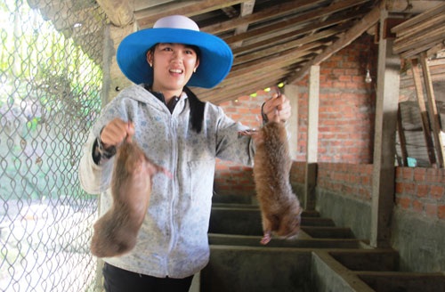 Cử nhân 8X nuôi dúi, thu trăm triệu mỗi năm - 1 Cử nhân 8X Nguyễn Thị Phượng cùng với trang trại nuôi dúi, nhím của mình. Ảnh: T.H
