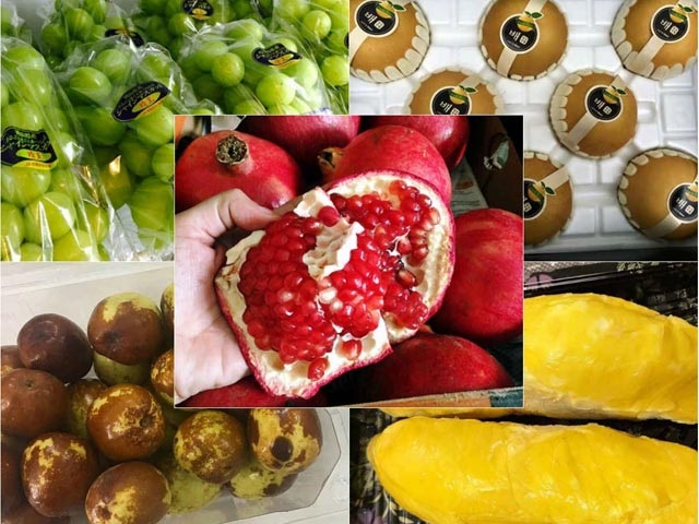 Hà thành sính đồ ngoại: Từ táo dại thâm xỉn đến nho lạ đắt vô địch - 1 Hà thành sính đồ ngoại: Từ táo dại thâm xỉn đến nho lạ đắt vô địch - 1