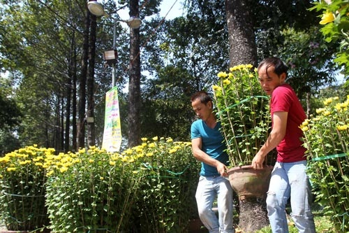 Đón Tết, coi chừng cụp xương sống! - 1 Thời điểm cận Tết, nhiều người phải bưng bê vật nặng khi dọn dẹp nhà cửa dẫn đến số ca cụp xương sống gia tăng Ảnh: HOÀNG TRIỀU