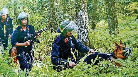 Cuộc săn lùng những "người ma" trốn truy nã - 1 Cuộc săn lùng những "người ma" trốn truy nã - 1