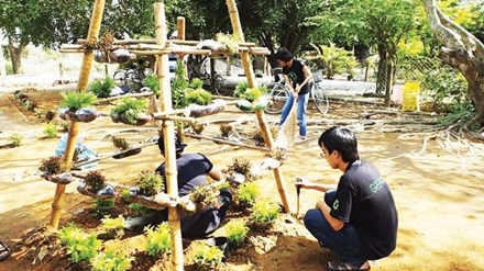 Những người trẻ đón Tết theo lối sống "xanh" - 1
Đội sống xanh trồng cây xanh từ đồ tái chế.