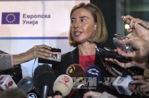 EU toan tính ra tay hái quả ngọt tại Syria? - 1 Đại diện cấp cao phụ trách chính sách đối ngoại của EU, bà Federica Mogherini