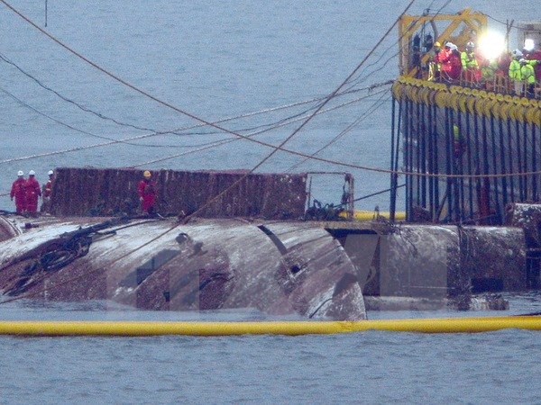 Hàn Quốc bắt đầu lai dắt phà Sewol đến cảng trên đất liền - 1 Lực lượng cứu hộ làm nhiệm vụ trục vớt phà Sewol trên vùng biển gần Jindo, cách Seoul 472km về phía tây nam ngày 23/3. (Ảnh: Yonhap/TTXVN)