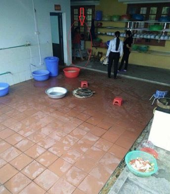 Cháu bé bị cô giáo dọa thả vào máy vặt lông gà (ảnh từ clip)