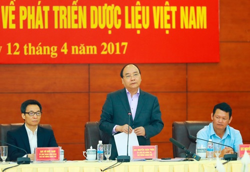 Bàn cách phát triển dược liệu Việt Nam quy mô toàn quốc - 1 Thủ tướng Nguyễn Xuân Phúc chủ trì thảo luận để có chính sách thu hút phát triển ngành dược liệu Việt Nam