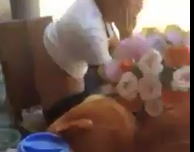 Yêu nhau 1 tháng, thanh niên đòi quà bạn gái - 1
Ảnh cắt từ clip